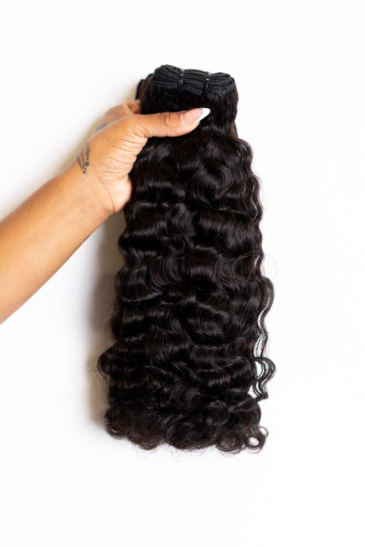 Burmese Curly